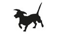 Black dog silhouette. Running dachshund puppy. Isolated on a white background Royalty Free Stock Photo