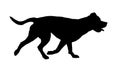 Black dog silhouette. Running italian mastiff. Pet animals. Isolated on a white background