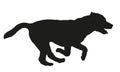 Black dog silhouette. Running and jumping labrador retriever puppy. Pet animals. Isolated on a white background. Royalty Free Stock Photo