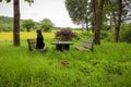Black Dog Sitting On A Bench At A Picnic Table