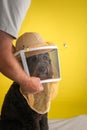 Male hand placings a beekeeper's hat and veil with honeybees onto a black dog. Royalty Free Stock Photo