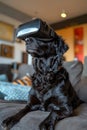 A black dog wearing a virtual reality headset on a couch. Generative AI Royalty Free Stock Photo