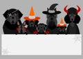 Black halloween dogs with white board