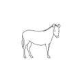 Black donkey sign icon. Vector illustration eps 10