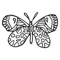 Black doodle decorative ornate butterfly isolated on white background. Royalty Free Stock Photo