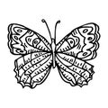 Black doodle decorative ornate butterfly isolated on white background. Royalty Free Stock Photo