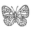 Black doodle decorative ornate butterfly isolated on white background. Royalty Free Stock Photo