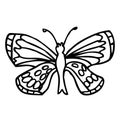 Black doodle decorative ornate butterfly isolated on white background. Royalty Free Stock Photo