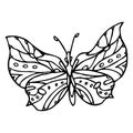 Black doodle decorative ornate butterfly isolated on white background. Royalty Free Stock Photo