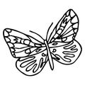 Black doodle decorative ornate butterfly isolated on white background. Royalty Free Stock Photo