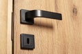 Black door handle Royalty Free Stock Photo