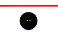 A black double yellow dot squash ball