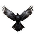 Black Dove Isolated on White Background. Generative ai