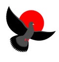 Black Dove symbol of sadness and mourning. Flying black Bird on