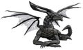 Black dragon in white background Royalty Free Stock Photo