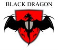 Black Dragon Over the Red Shield Royalty Free Stock Photo