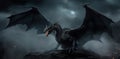 The Black Dragon\'s Night Flight Royalty Free Stock Photo