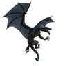 Black dragon in a white background Royalty Free Stock Photo