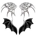 Black Dragon wings