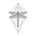 Black dragonfly Aeschna Viridls, isolated on white background. Tattoo sketch. Mystical symbols and insects. Alchemy
