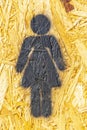 black drawing representing a woman to identify the public bathroom under a wooden door in plywood or chipboard.