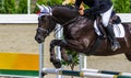 Black dressage horse and rider performing jump at show jumping competition. Royalty Free Stock Photo