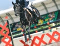 Black dressage horse and rider in white uniform performing jump at show jumping competition. Equestrian sport background. Royalty Free Stock Photo