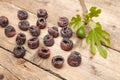 Black dried figs Royalty Free Stock Photo