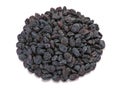 Black dried fruit raisin