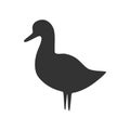 Black duck icon. Farm animal silhouette vector illustration Royalty Free Stock Photo