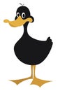 Black duck, illustration, vector