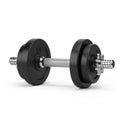 Black Dumbbell Weights Isolated on White Background Royalty Free Stock Photo
