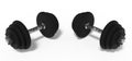 Black dumbbells on white background. 3D illustration.