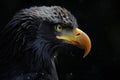 Black eagle bird sparkles. Generate Ai