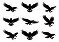 Black eagle silhouette set featuring predatory birds in various flight poses for logos and designs Royalty Free Stock Photo