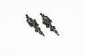 black earrings on white background Royalty Free Stock Photo