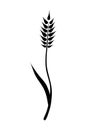 Black ears of wheat. Vector illustration on white isolated background