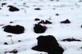 Black earth under the snow Royalty Free Stock Photo