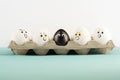 Black egg among angry, nervous, prejudiced eggs on paper tray. Xenophobia, racism concept. Royalty Free Stock Photo