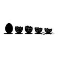 Black egg hatching sequence cracked broken Royalty Free Stock Photo