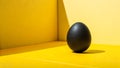 A black egg sits on a bright yellow surface in a corner with a shadow Royalty Free Stock Photo