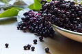 Black elderberries, Sambucus nigra, in enamel bowl. Copy space Royalty Free Stock Photo