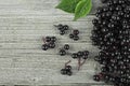 Black elderberry with green leaves on wooden desk. Elder plant berries. European black elderberry