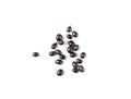 Black Elderberry Isolated, Sambucus Berries, Ripe Danewort, Elder berry on white background