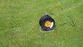 Black electric power cord and plug socket outlet on green grass field outdoor Royalty Free Stock Photo