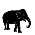 Black elephant, doodle by hand isolated on white bacground. Vector illustration