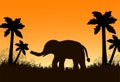 The black elephant on the grass and palm trees, sunset. Vector i Royalty Free Stock Photo