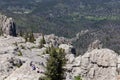Black Elk Peak View Royalty Free Stock Photo