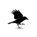 Black, emphasizing its distinctive features like the beak, wings, and claws Royalty Free Stock Photo