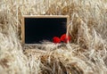 Black empty chalkboard for writing stands in a field with ripe ears of Golden wheat on a Sunny day Royalty Free Stock Photo